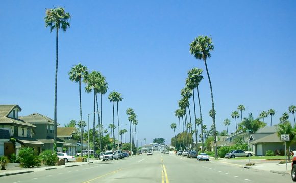 Palms, Pines, and the Rich and Famous