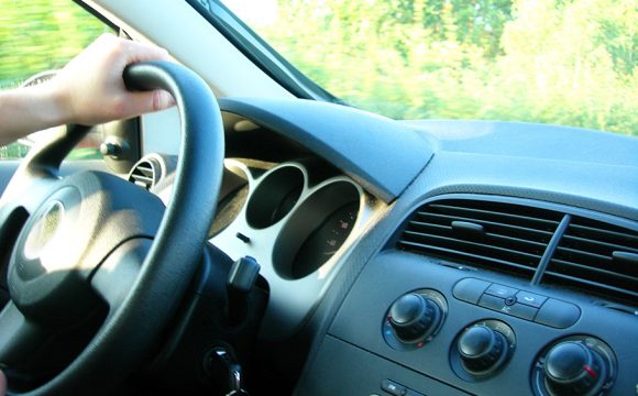 Stay Cool in the Car this Summer to Avoid Hefty Fines