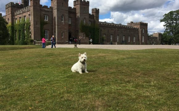 Scottish Palace Named in World’s Top Twenty Pet Friendly Attractions