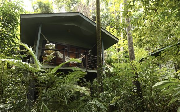 Top Eco Hotels and Activities in Queensland