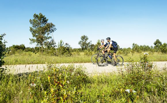 Majorca Promotes Sustainable Cycling Routes for 2022