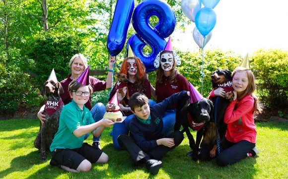 Whinney Hill Kennels Celebrates 18 Years with Family Fun Day