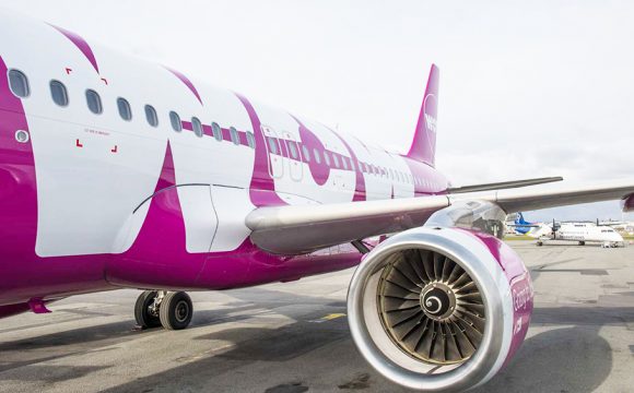 Wow Air is Back in Business