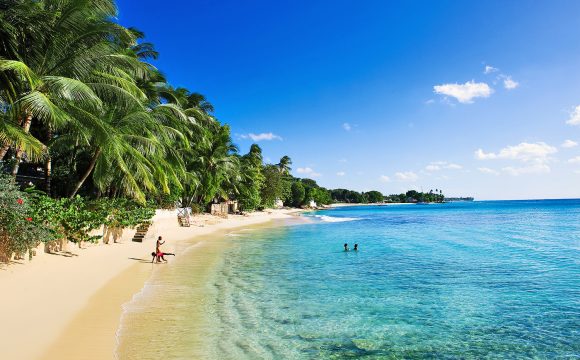 Barbados Tourism Webinar – ONLINE NOW!