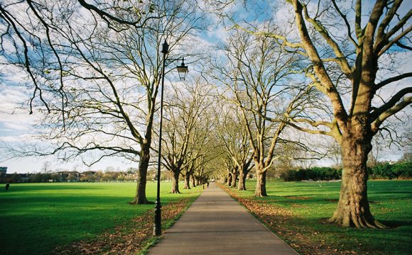 The 10 Greenest Cities in the United Kingdom