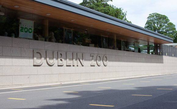 Dublin Zoo and Fota Wildlife Park Will Receive Government Funding