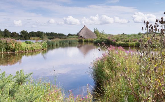 Castle Espie Wetland Centre Receives Grant from Heritage Recovery Fund