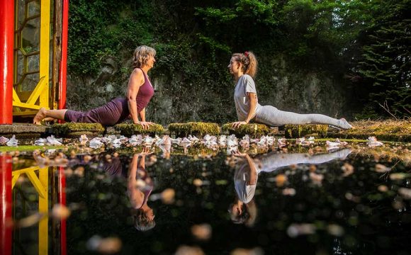 Summer Yoga Events Announced for Mount Congreve Gardens