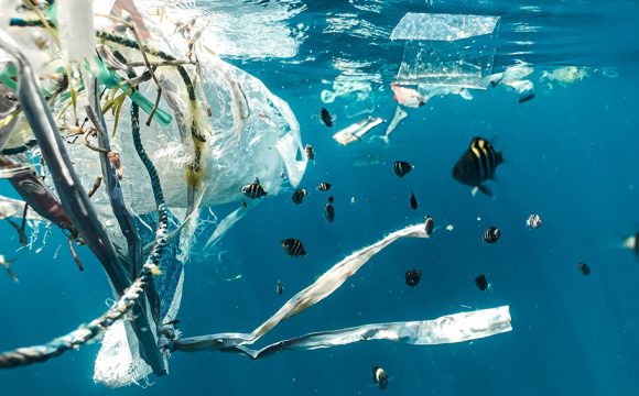 WTTC and UNEP Release New Report on Single-Use Plastic Products to Advance Sustainability in Travel & Tourism