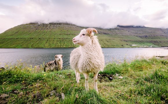 Hike Your Way Around the Faroe Islands