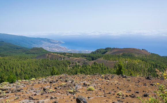 Canary Island Starts Evacuation After Seismic Activity Reaches Highest Level
