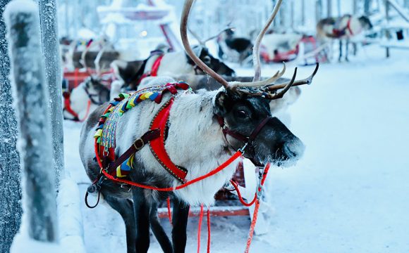 Lapland Flight to Operate from Shannon Airport this December