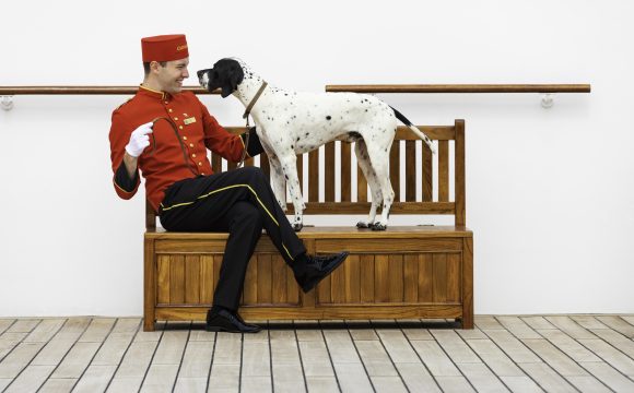 Pampered passengers rejoice as Cunard re-opens kennels