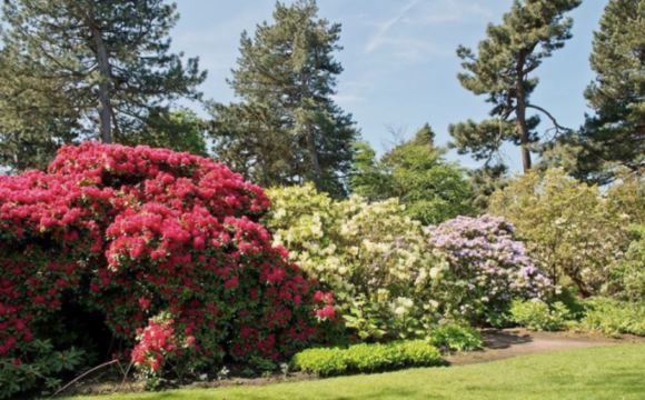 Picture Perfect Peonies :UK’s Most Instagrammable Gardens