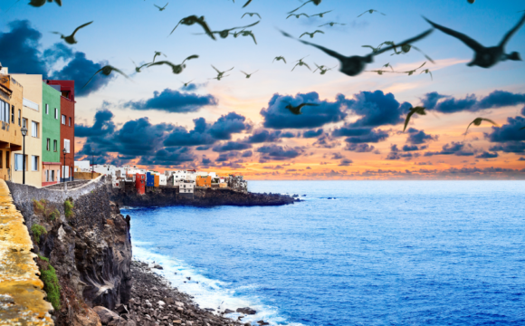 The Canary Islands. An Archipelago Full of Flavour