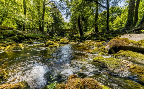 NI Wildlife Walk Opens for First Time in 500 Years