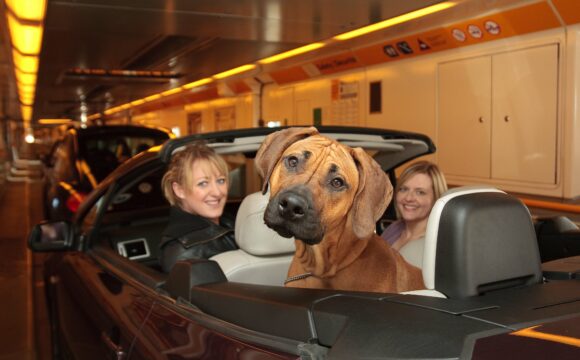 It’s A Dogs Life! New Record of Pets Travelling on the Eurotunnel