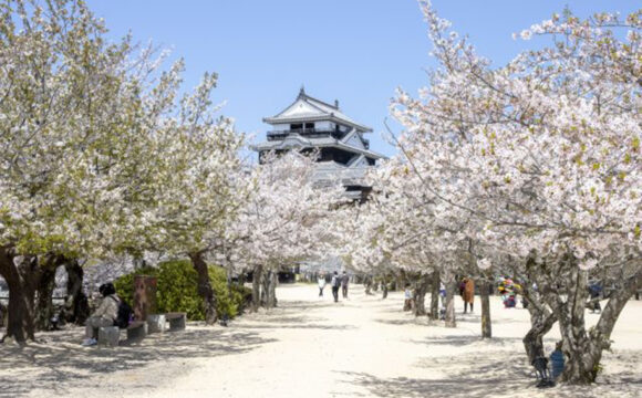 Visit Japan without Guided Tour as New Rules Announced