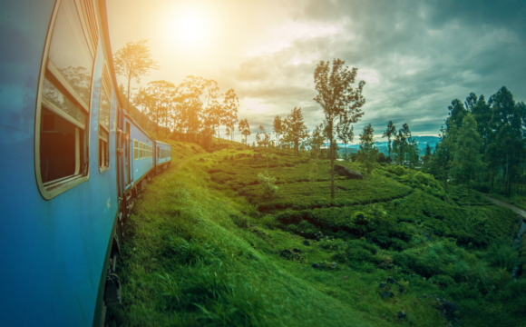 Sri Lanka is Open – Here’s Why Now is the Best Time to Visit