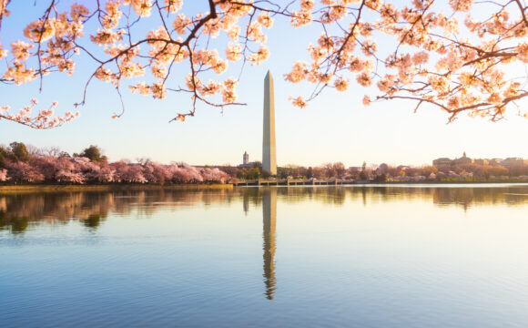 Six Of The Best Spots For Spotting Cherry Blossoms