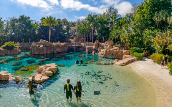 Discovery Cove Announces its Renewal as a Certified Autism Center™