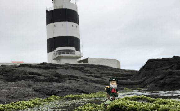Snake Hunt at Hook Lighthouse this St Patrick’s Weekend