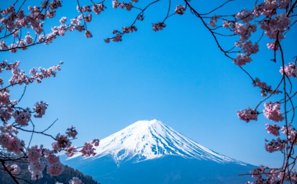 Step into Four Seasons of Exploration in Japan