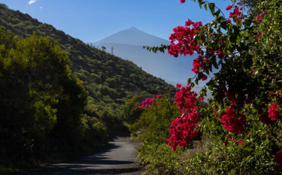 Top 5 Most Beautiful National Parks in the Canary Islands