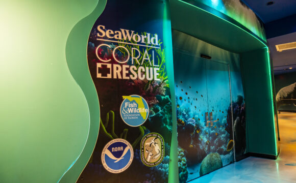 SeaWorld Orlando Opens All New Coral Rescue Centre to Guests