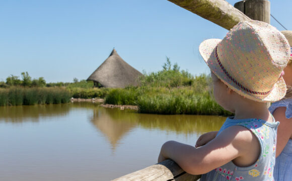 Step into Summer at Castle Espie this Father’s Day!