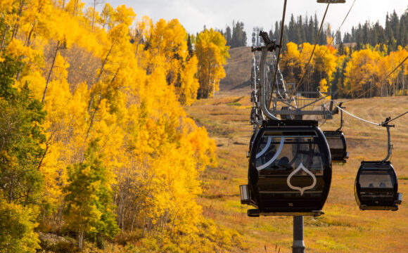 Autumn in the Aspens : Six Ways to Experience Autumnal Nature