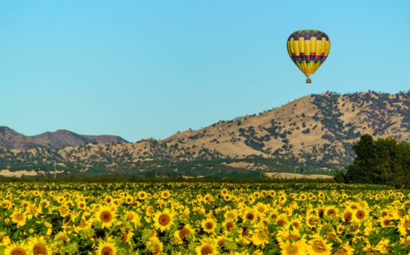 Discover the Uncharted Beauty of Central Valley, California