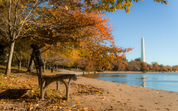Beyond ‘Be-Leaf’ – Best Places To Spend Autumn in Washington DC