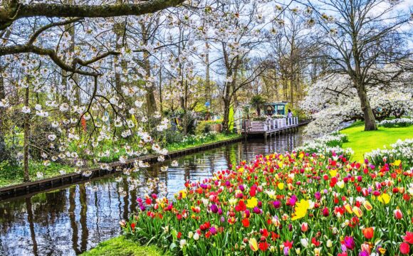 The Most Beautiful Spring Flower Spots Around the World
