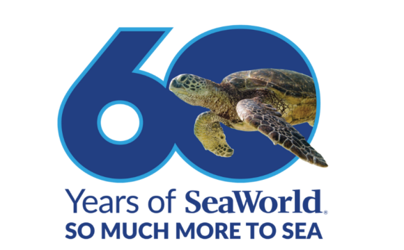 SeaWorld Launches 60th Anniversary Celebrations and Unveils  “There’s So Much More to Sea”