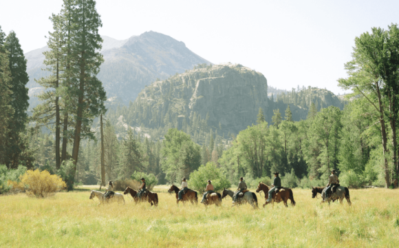 Retreat and Refresh in Tuolumne County with These Enriching Experiences