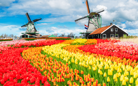 The Top 20 Most Popular Spring Destinations for 2024 Revealed