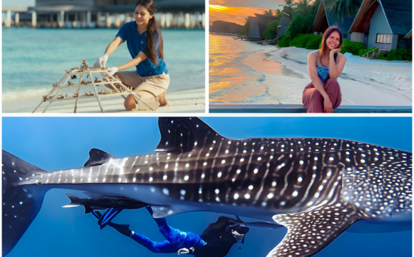 Coral Conservation and Dolphin Cruises – A Day in the Life of a Marine Biologist in The Maldives