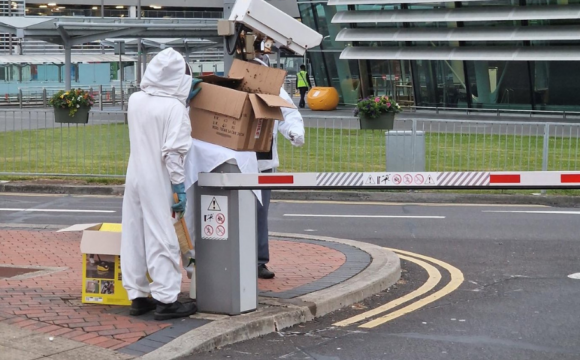 5,000 Honey Bees Create a Real Buzz at Dublin Airport